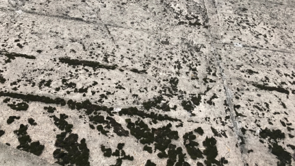 大坝混凝土缺陷修复与防护背景简介