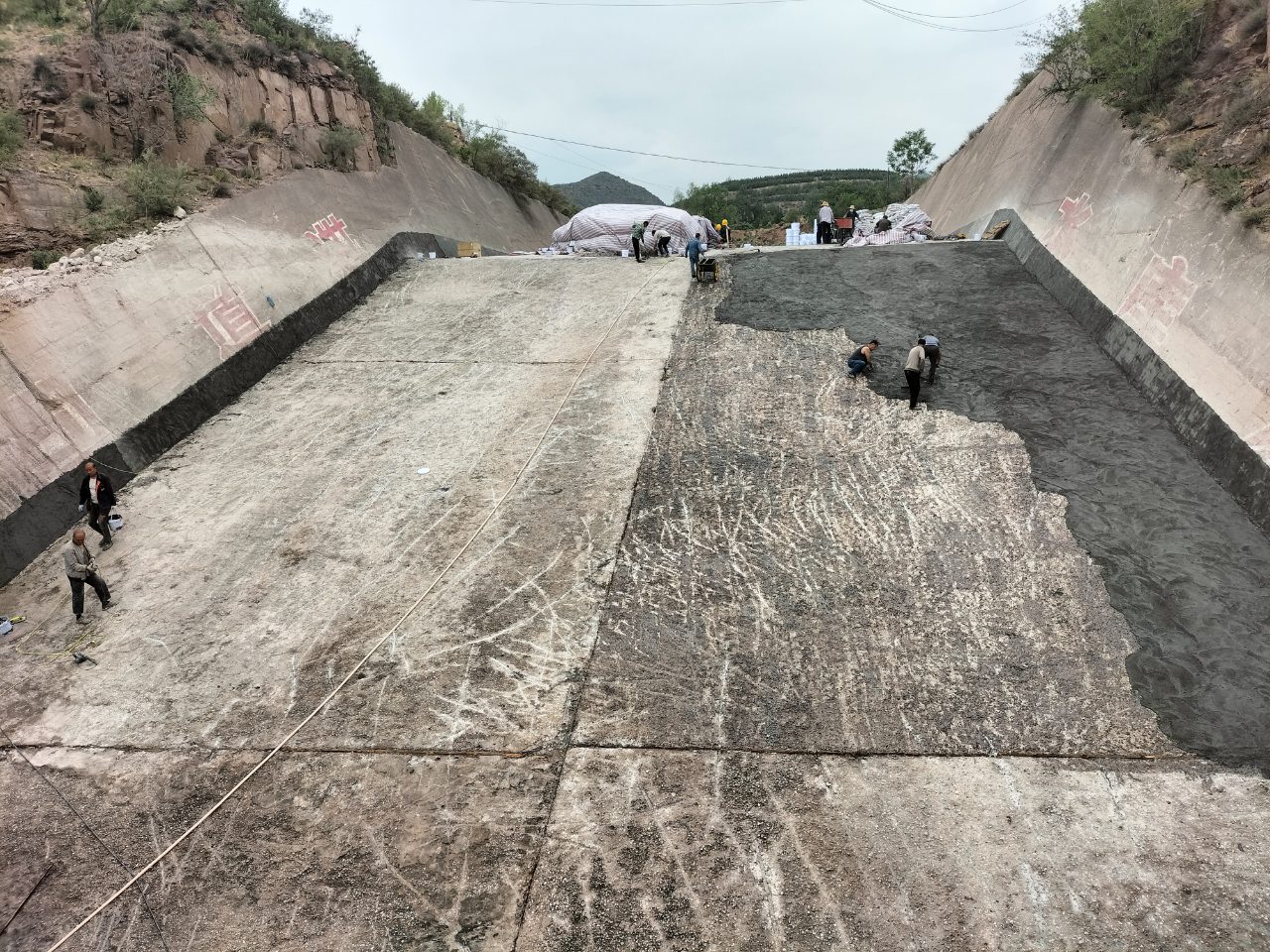 处理中 (3).jpg