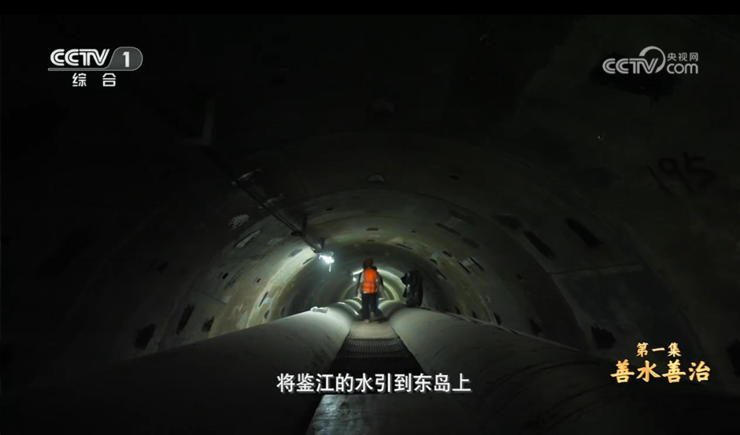 4-央视报道.png