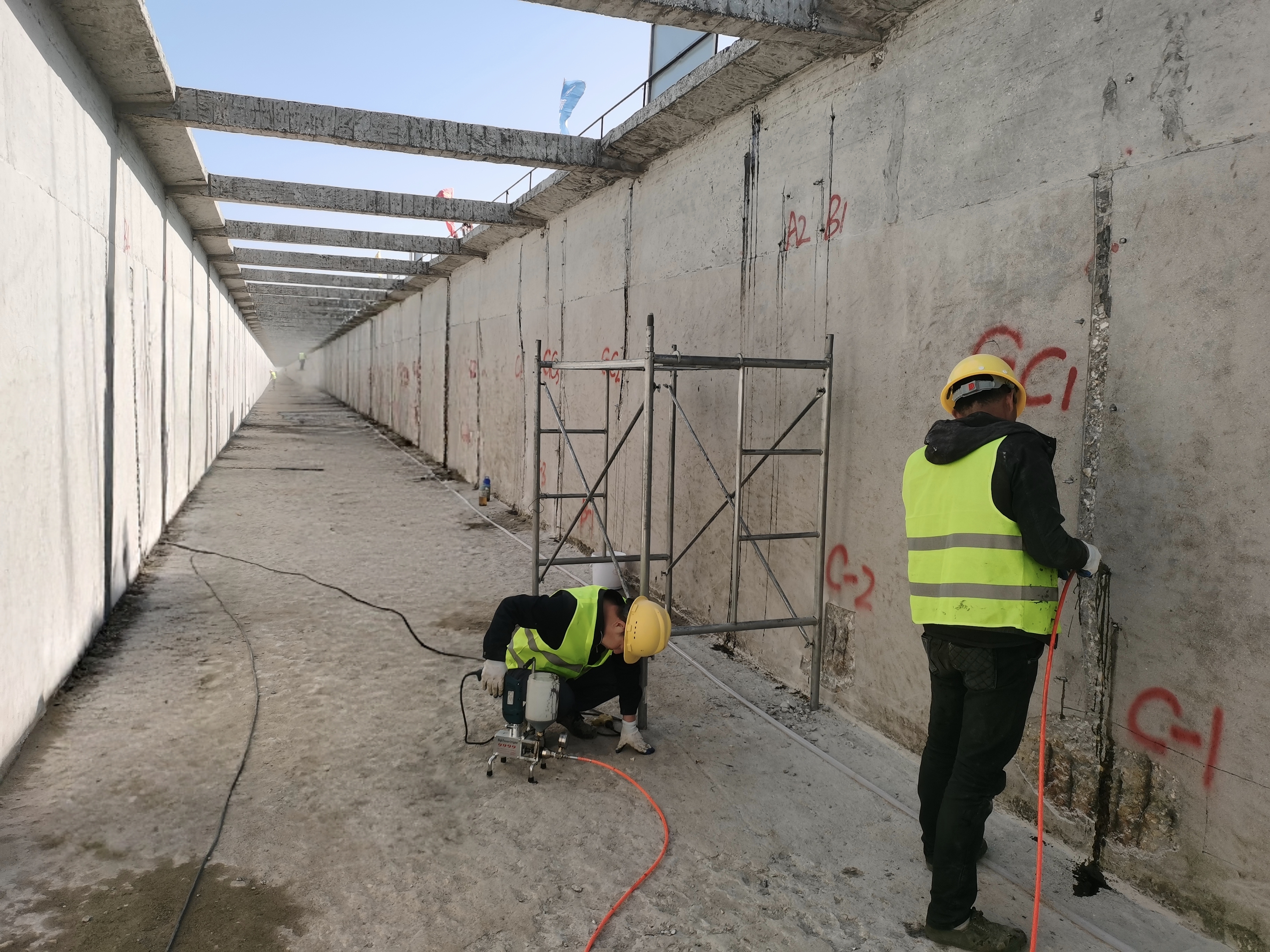 IMG_20251124_125316.jpg IMG_20251124_125316.jpg