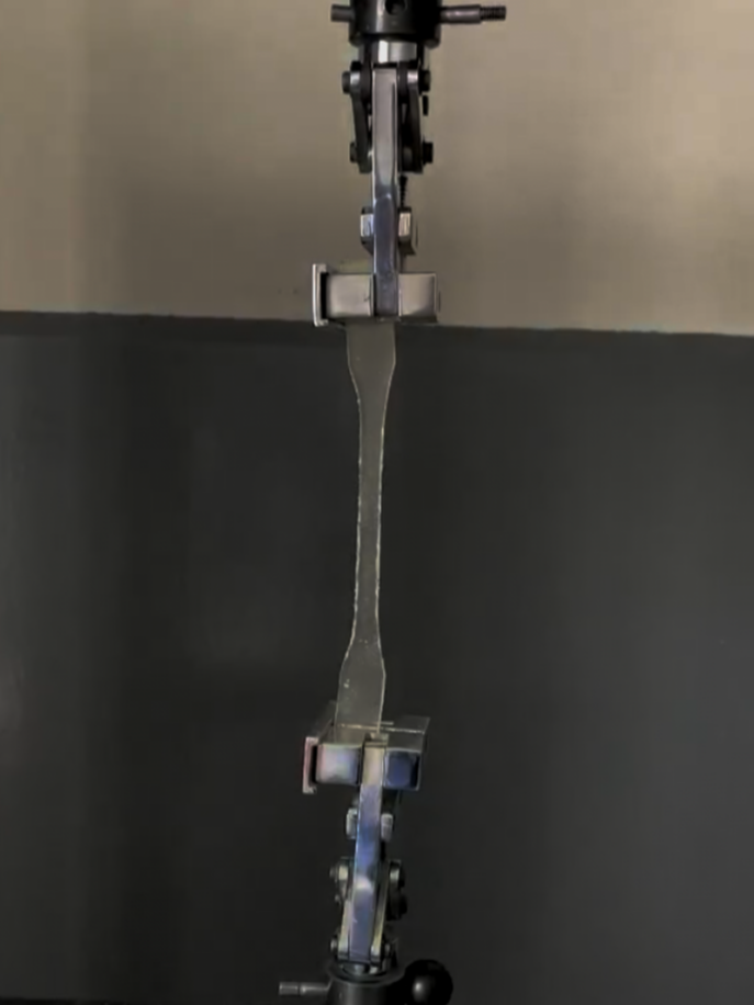 6、 (1).png